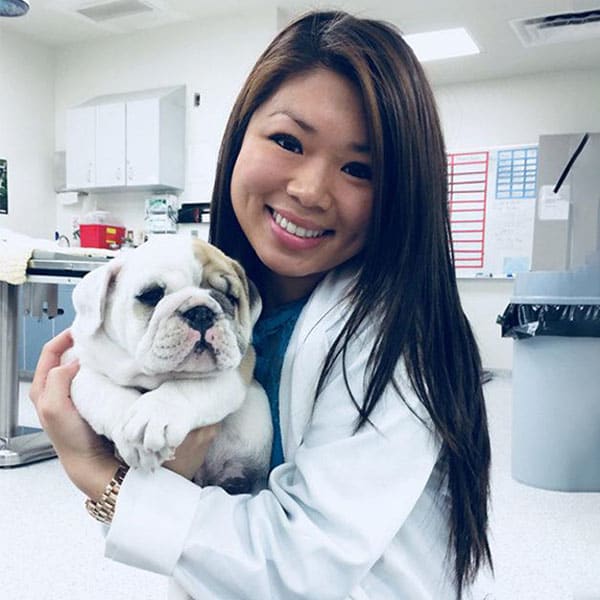 Dr. Dana Lieu, Bellevue Veterinarian